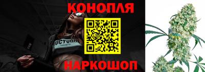 наркотики Камышлов
